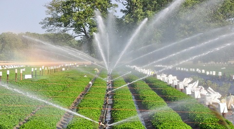 sprinklers spraying water on a farm PMKSY प्रधानमंत्री कृषी सिंचन योजना