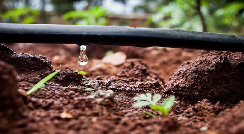 a water dripping from a hose and PMKSY प्रधानमंत्री कृषी सिंचन योजना